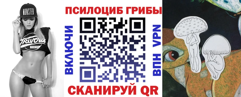 Псилоцибиновые грибы Psilocybine cubensis  Корсаков 